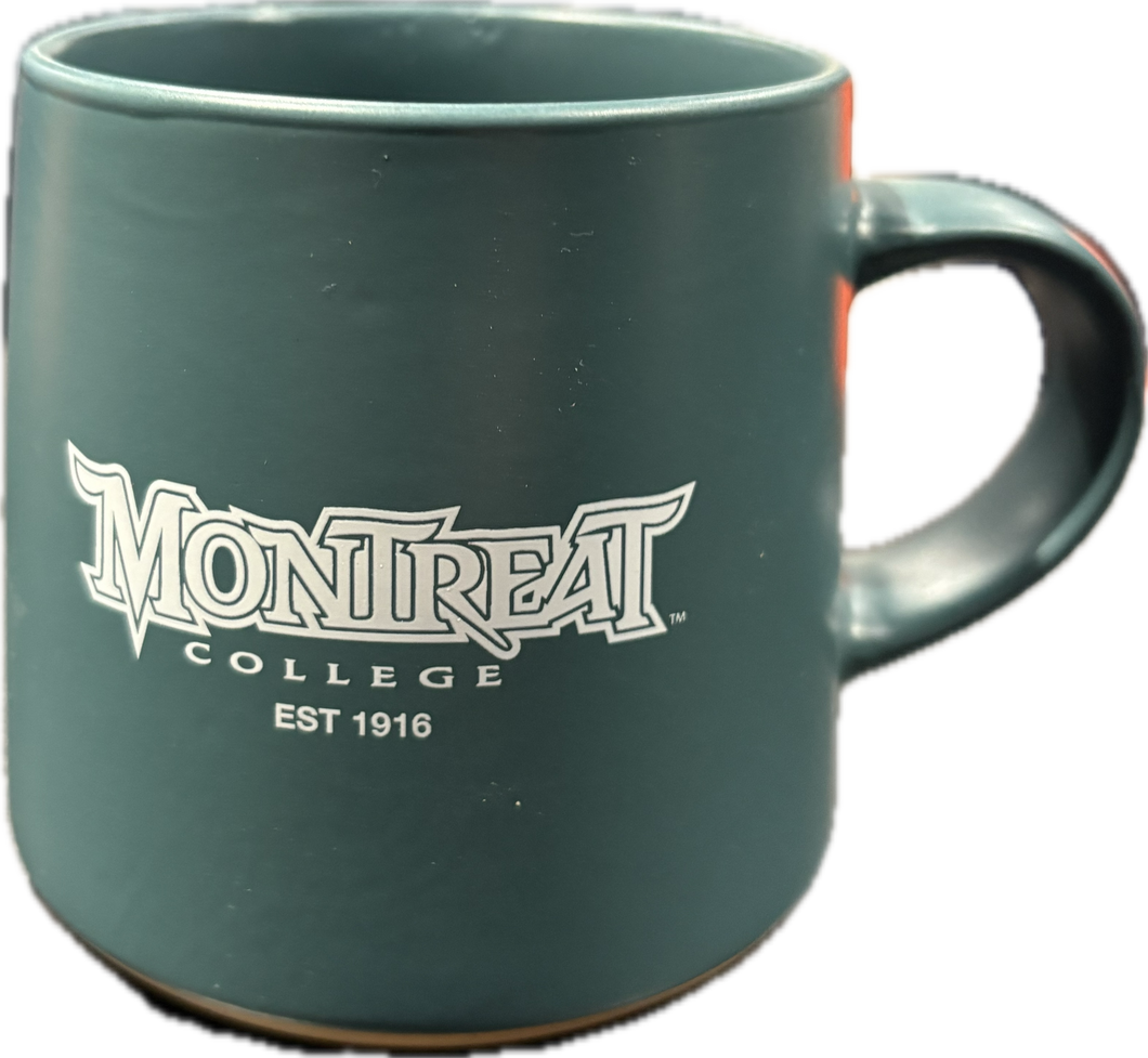 Coffee Mug, Teal