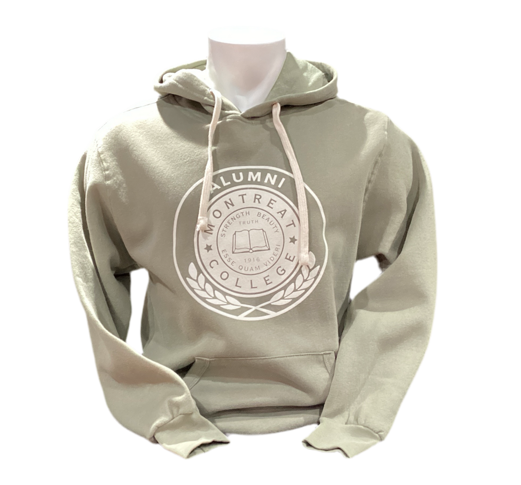 Alumni Vintage Fleece Hood MV Sport, Sage