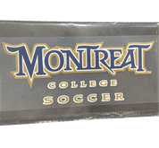 Full Color Automotive Decal