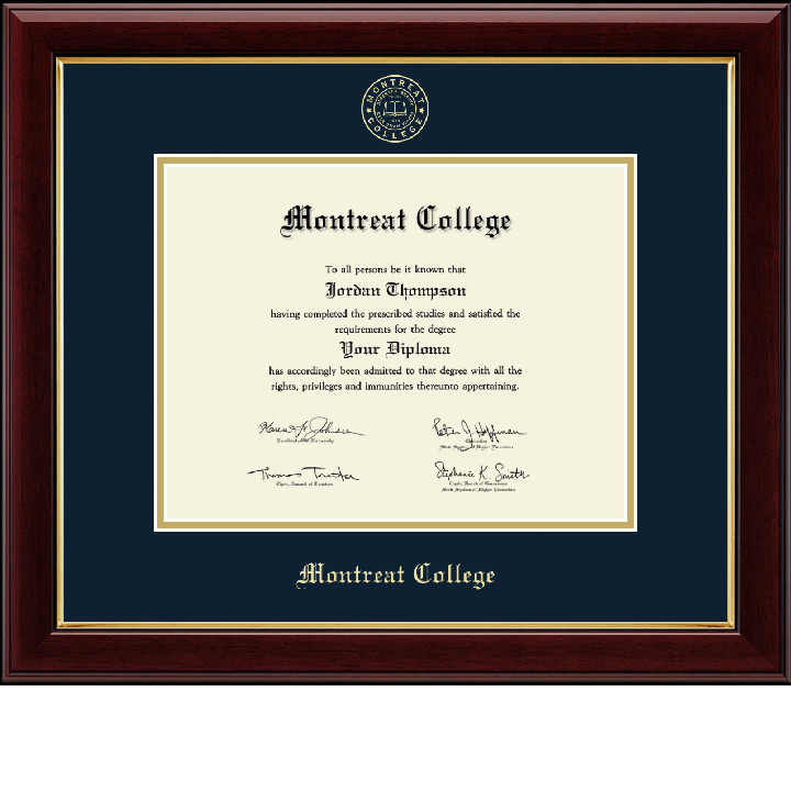 Gold Embossed Diploma Frame in Gallery | Navy/Gold