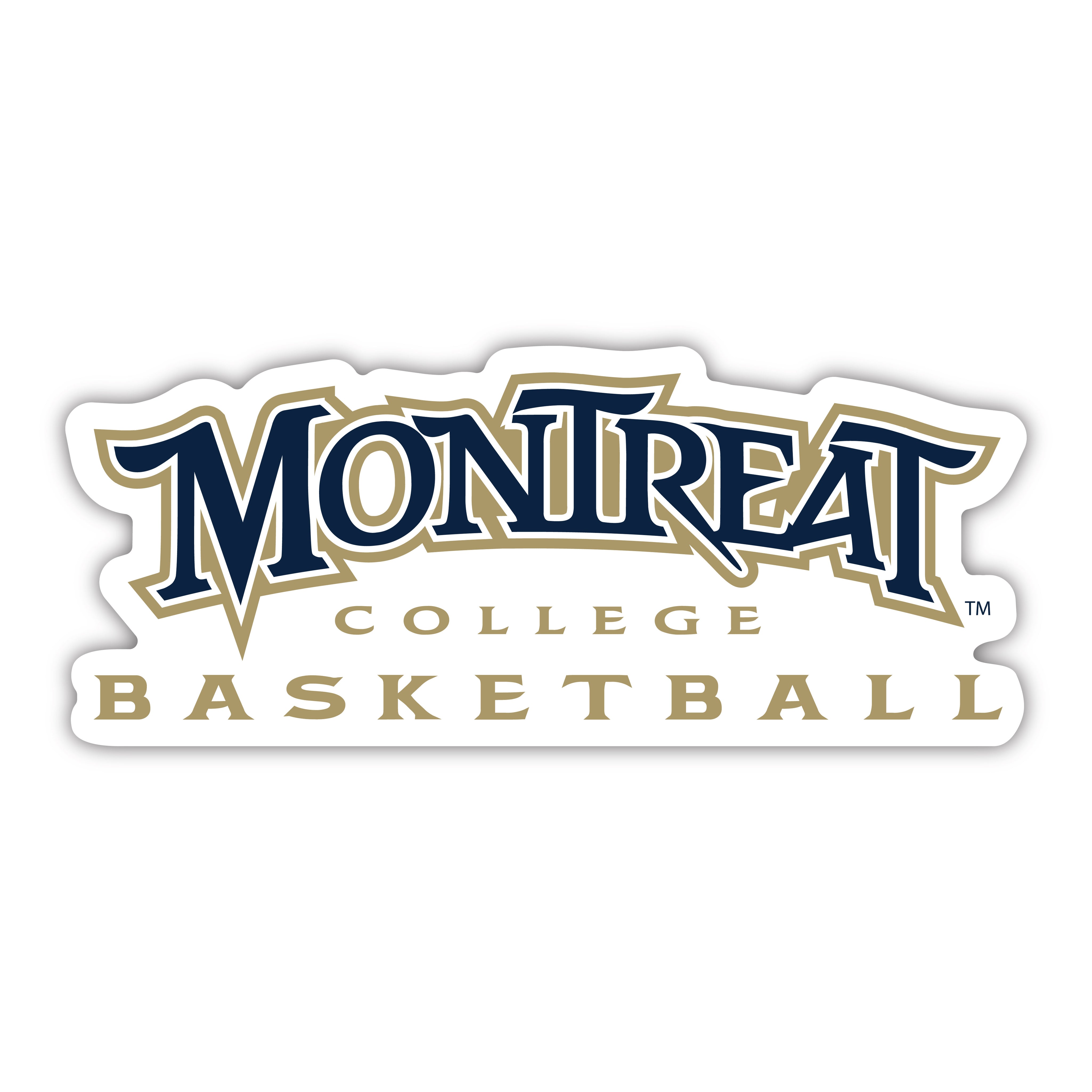 Montreat_M8_Basketball_Digital.jpg