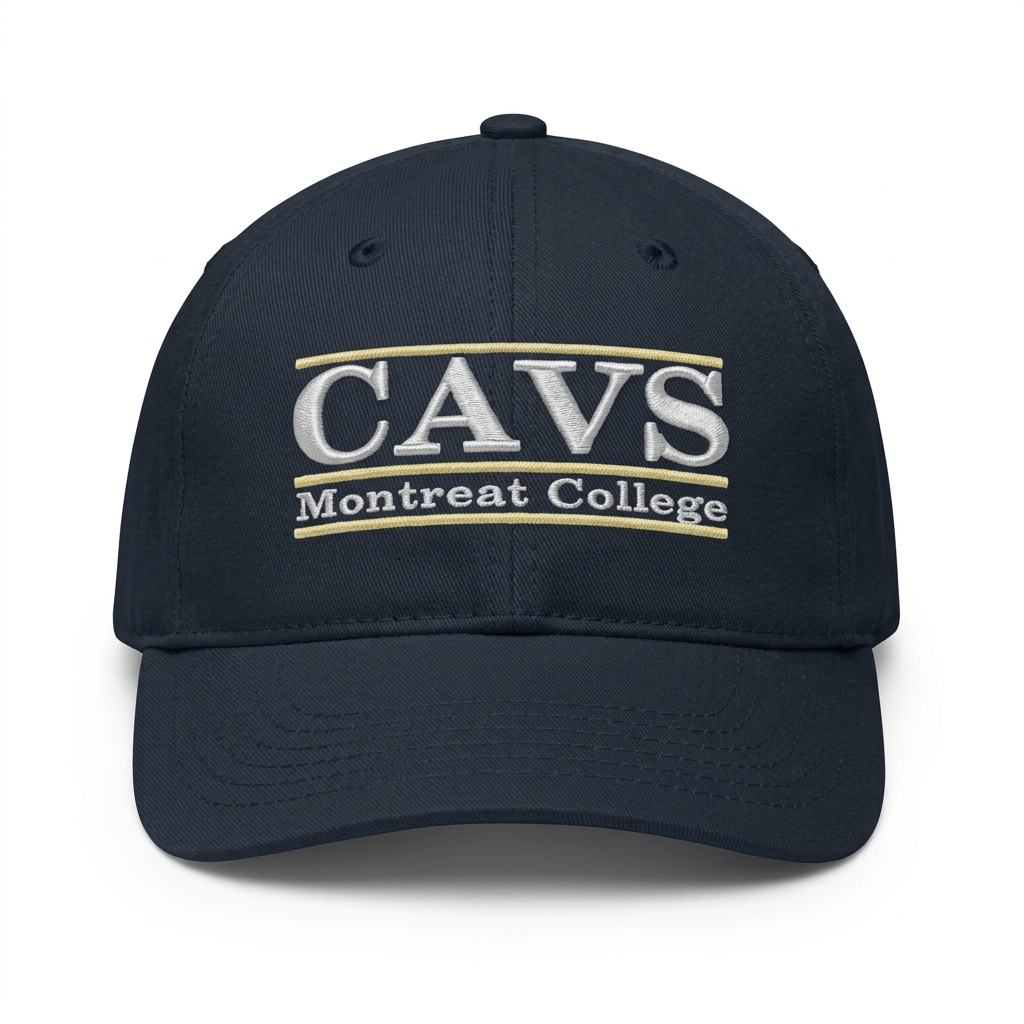 The Game Bar Hat | White / Navy